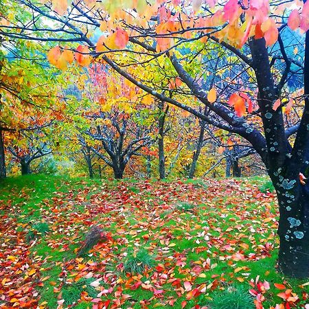 Albareilla By #Cherrygredos Эль-Ареналь Экстерьер фото