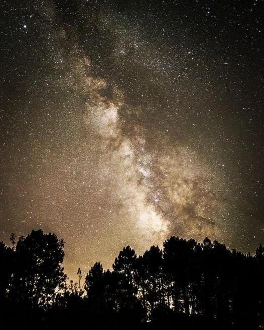 Albareilla By #Cherrygredos Эль-Ареналь Экстерьер фото
