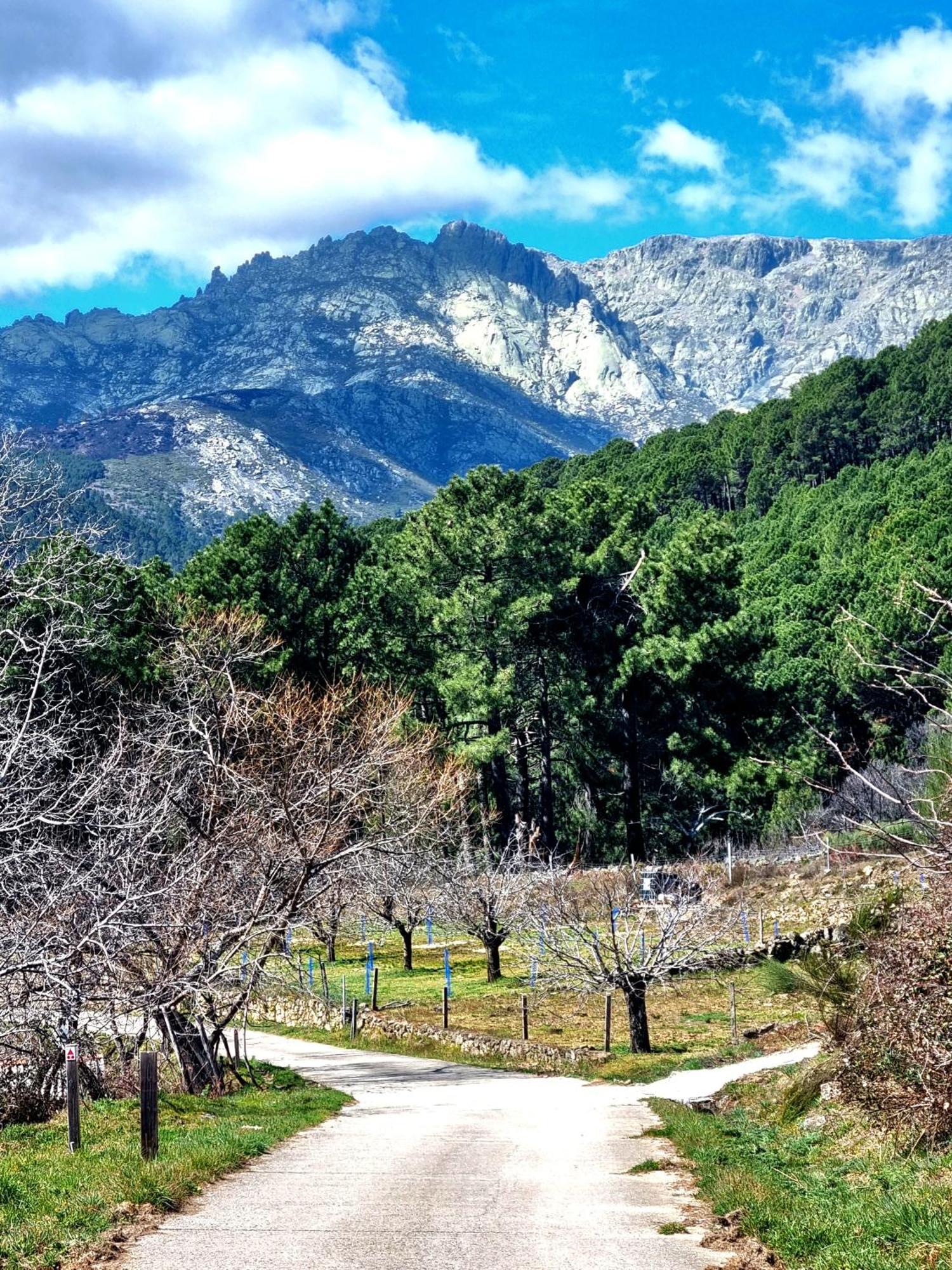 Albareilla By #Cherrygredos Эль-Ареналь Экстерьер фото