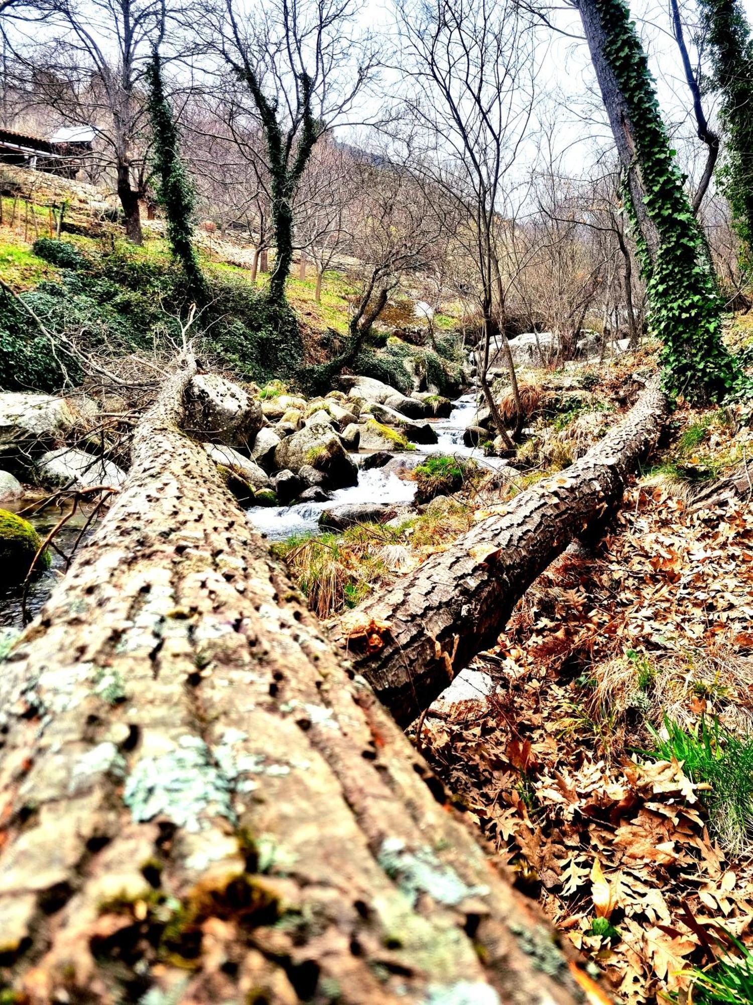 Albareilla By #Cherrygredos Эль-Ареналь Экстерьер фото